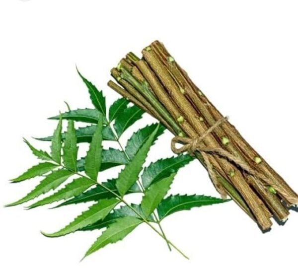 BoldCrop Natural Neem Datun Pack of 10 Pieces