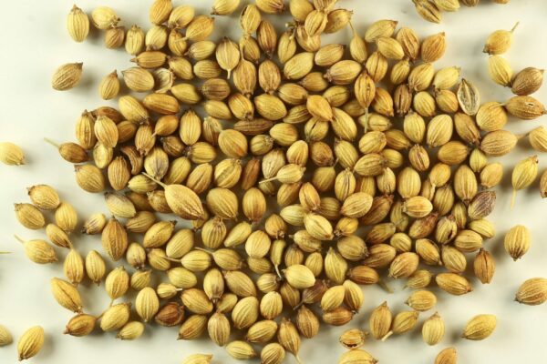 Whole Coriander | Gota Dhania
