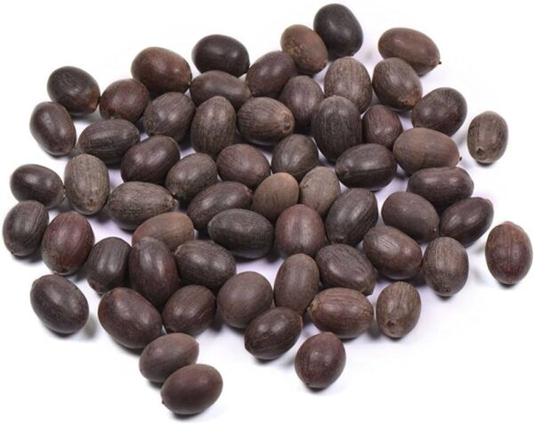 Kamal Gatta Seed/Lotus Seeds/Rosary of Kamal Gatta/Kamalgatta (31 Pcs)